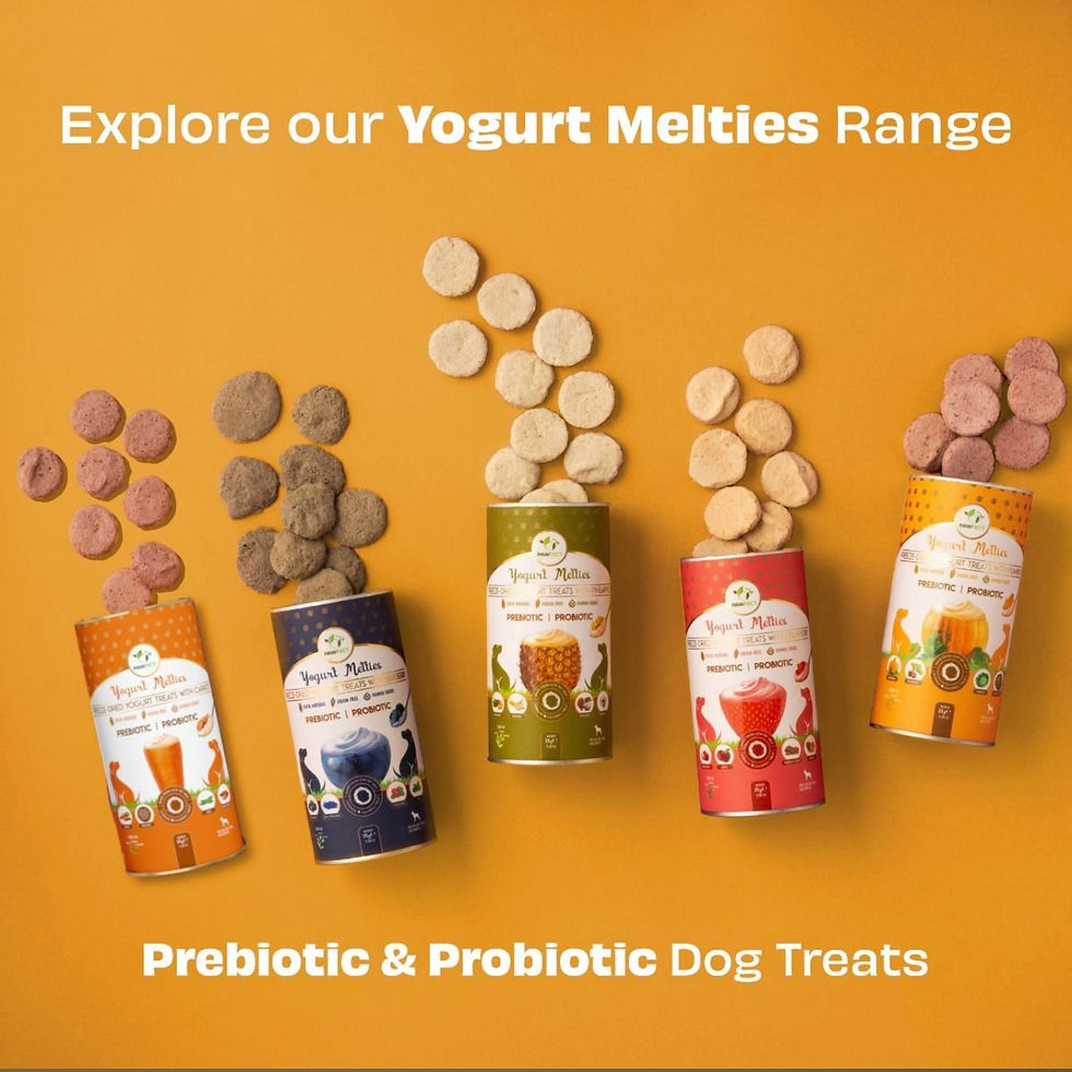 Thumbnail: Pre/probiotic Freeze dried Yoghurt Melties