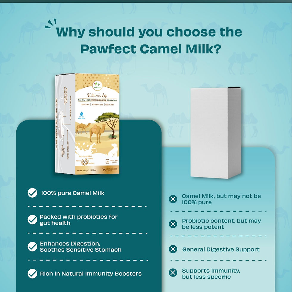 Thumbnail: Natures Sip Camel Milk Powder Sachets