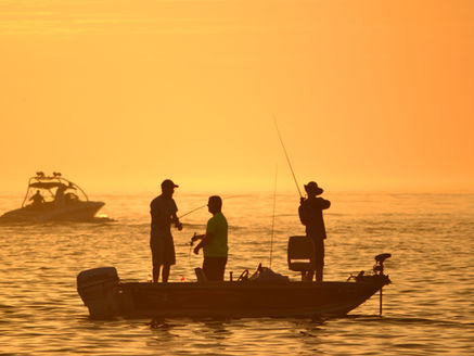 La Comisión de Pesca y Vida Silvestre reactiva el servicio digital tras meses de quejas — una buena noticia para quienes planean salir a pescar desde Miami y los Cayos.