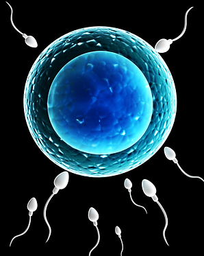 images on website (public domain) (1).png