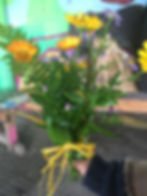 Posy of flowers