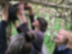 Installing bird boxes