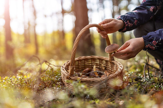 AdobeStock_294034503.jpeg