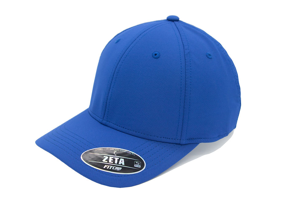 Miniatura: FITCAP 100 ZETA