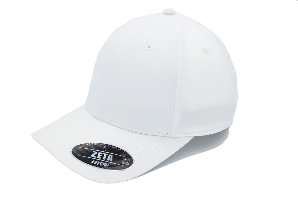 Miniatura: FITCAP 100 ZETA