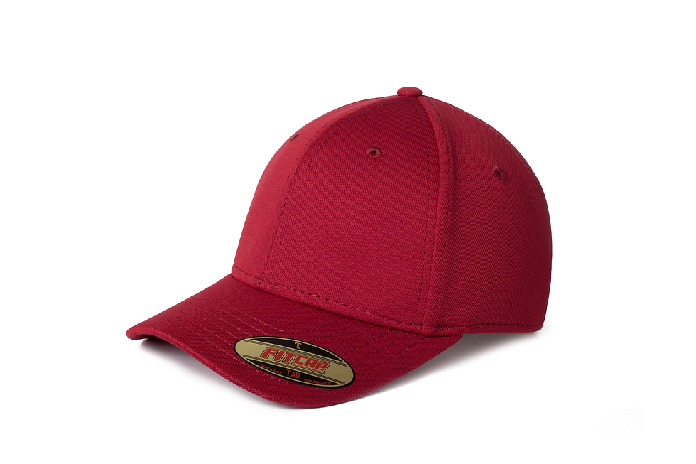 Miniatura: FITCAP 090 TAU