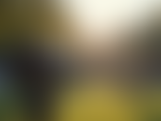 The Benefits of Videography Services: Why Professional Videography Enhances Your Memories