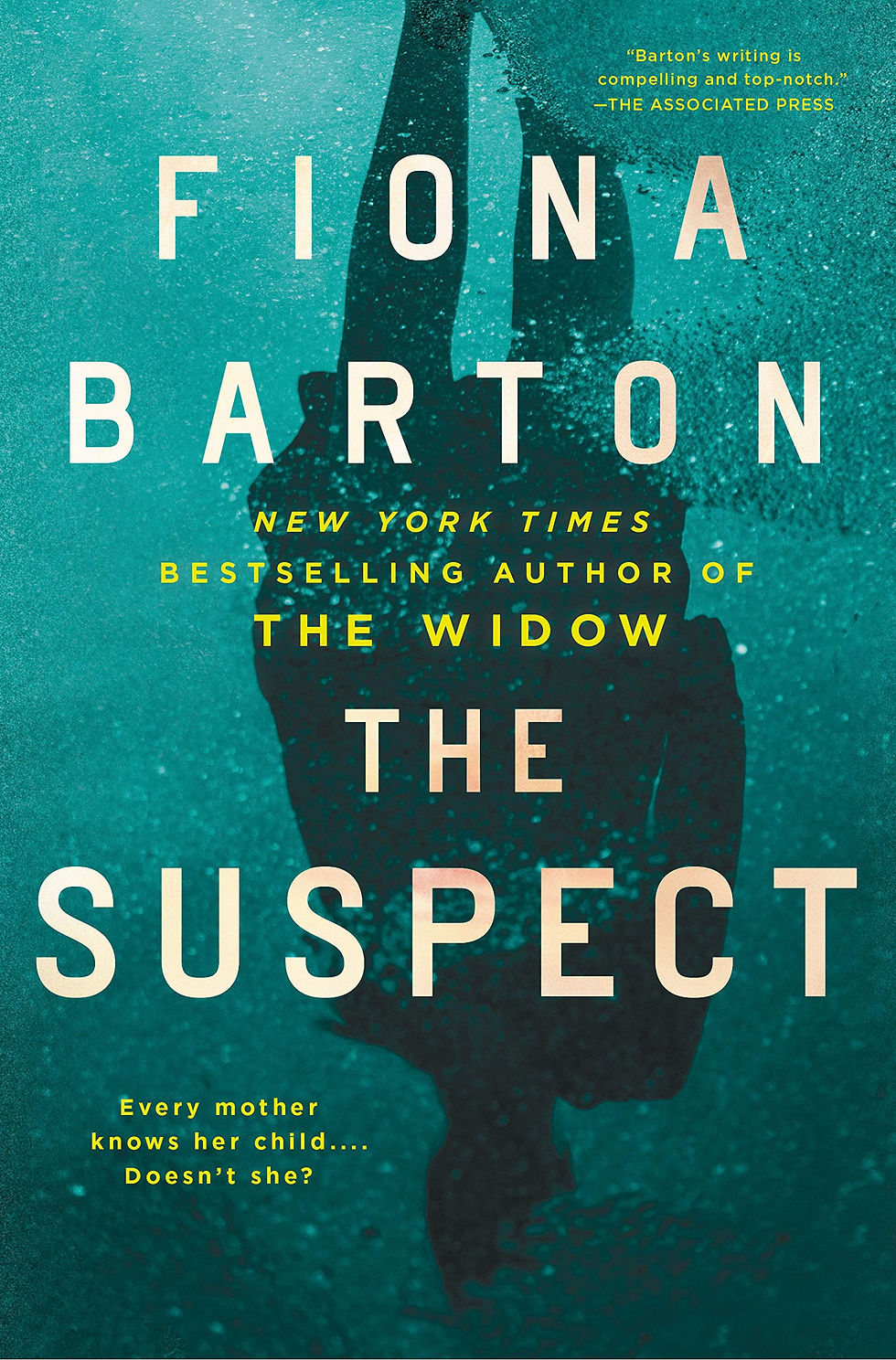 Book cover of The Suspect by Fiona Barton.