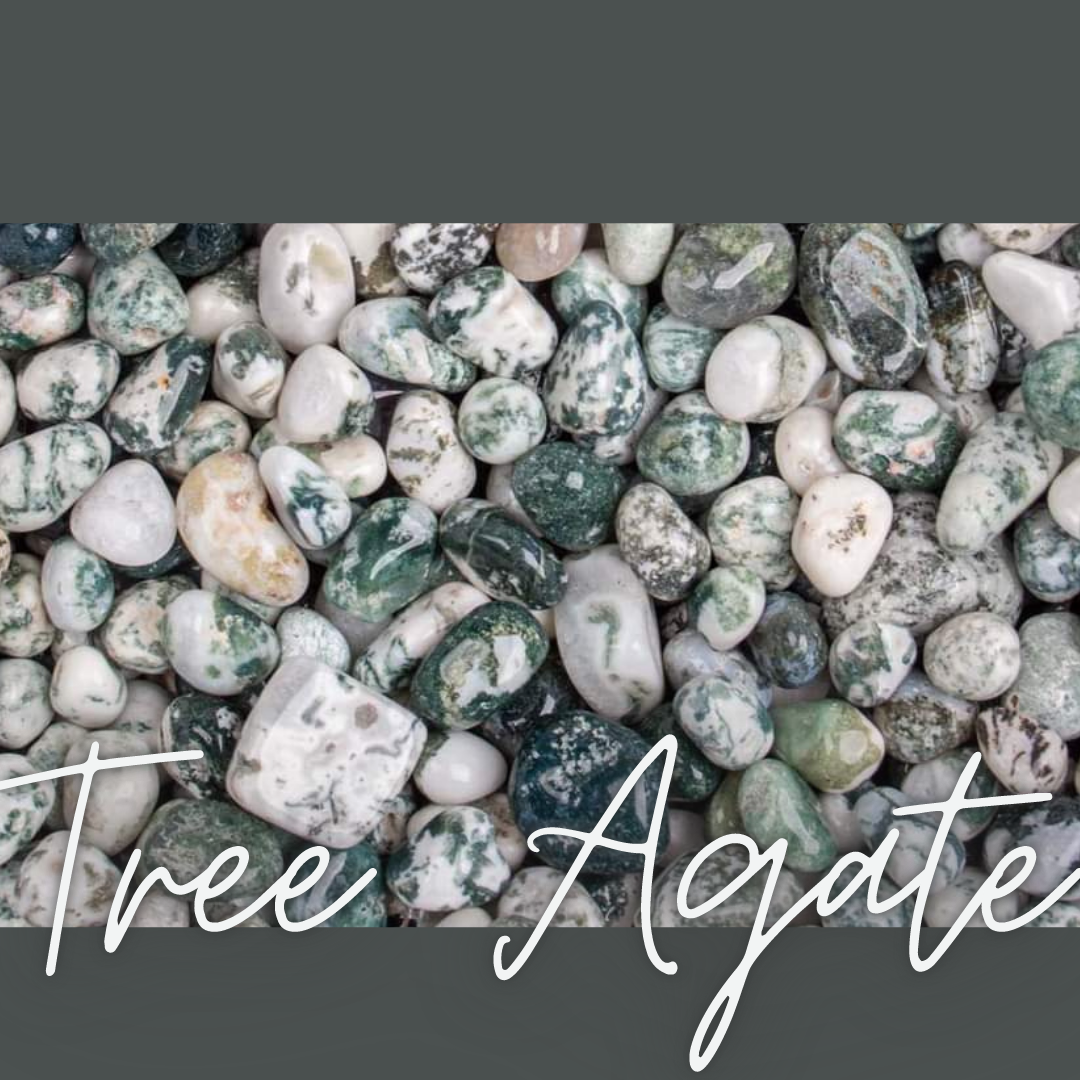 Tree Agate Tumble Pocket Stone