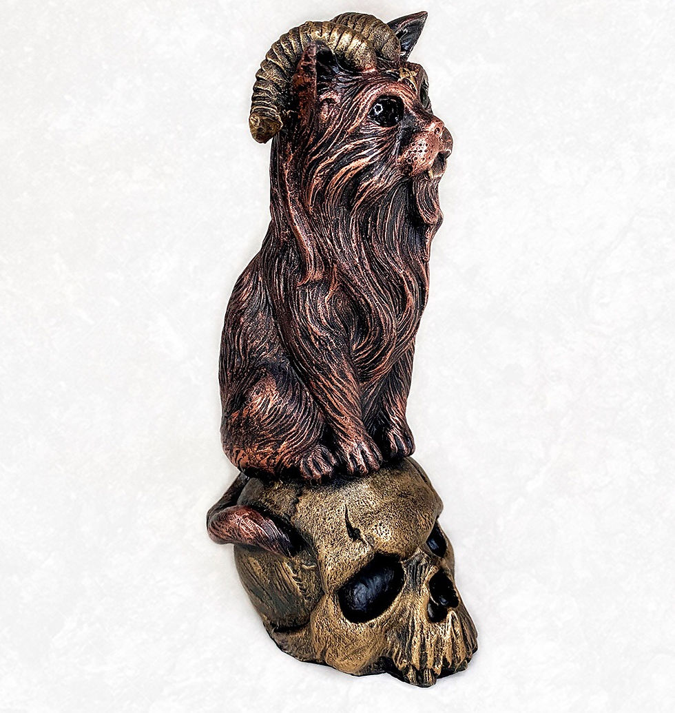 Miniatura: Capirocat (Gato Bode)