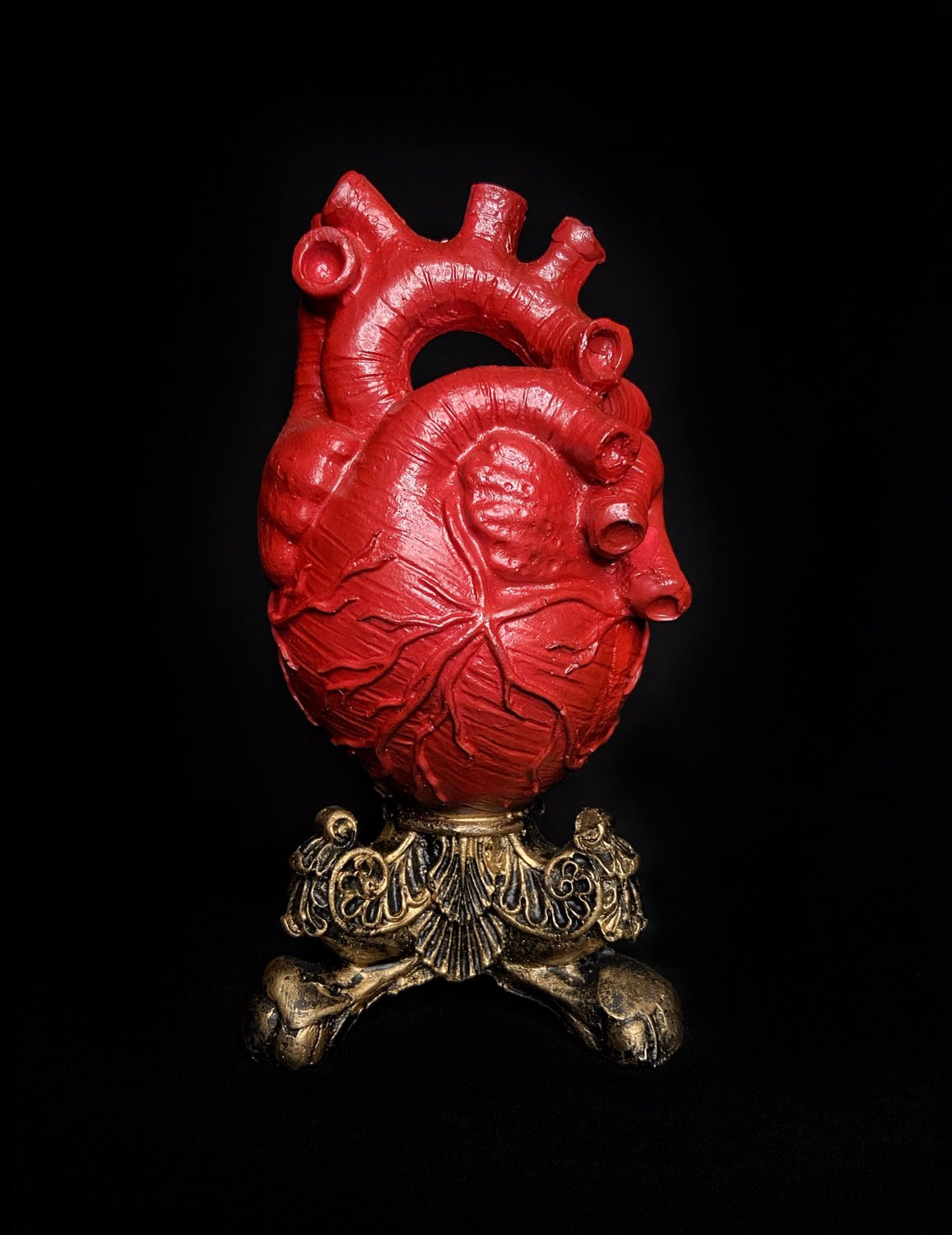 Coração Anatômico