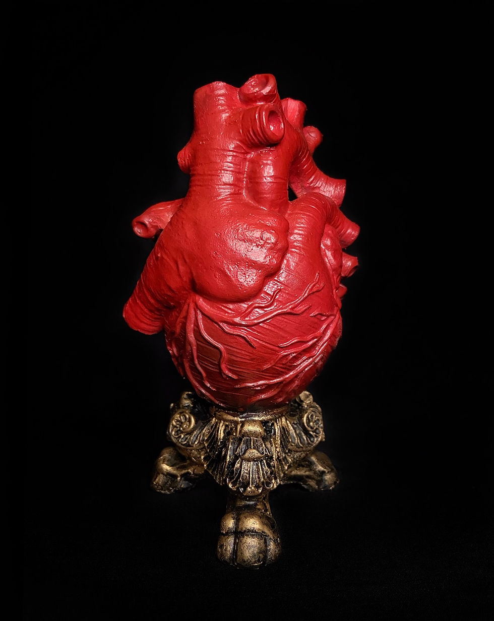 Miniatura: Coração Anatômico