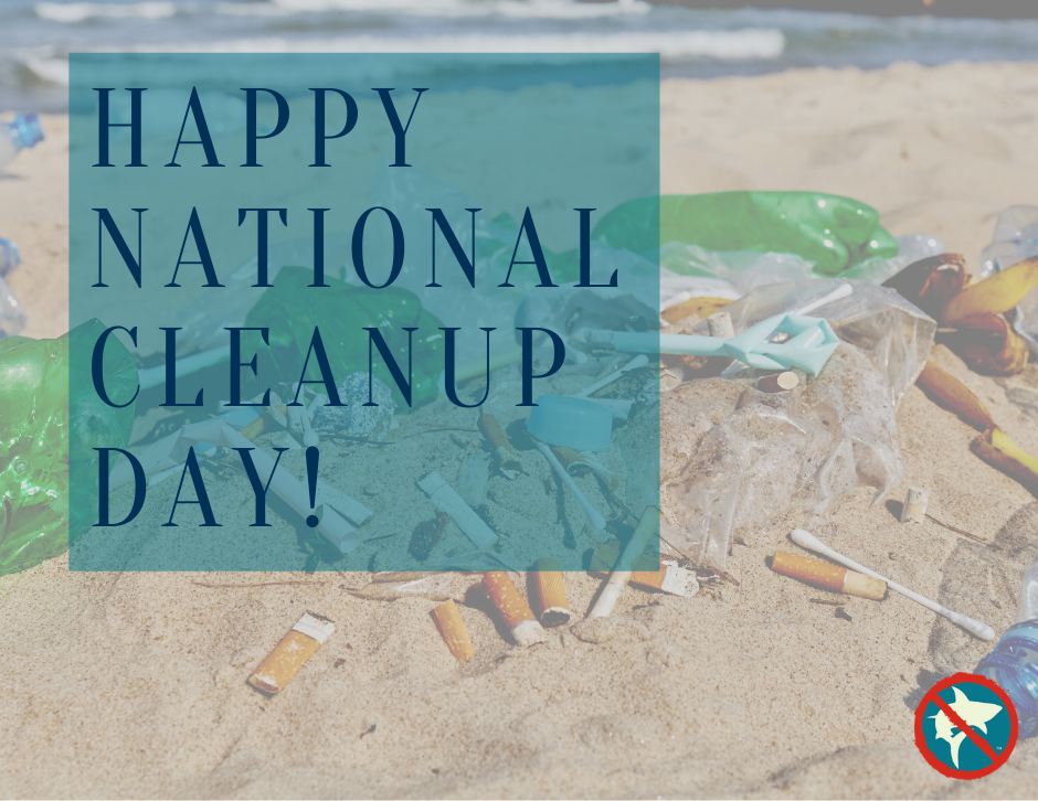 Happy National Cleanup Day!