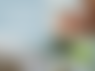 What You Need to Know About Reef Safe Sunscreen