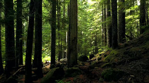 Prosty przepis na szczęście i szczęśliwe życie