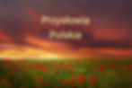 przysłowia polskie i ich znaczenie