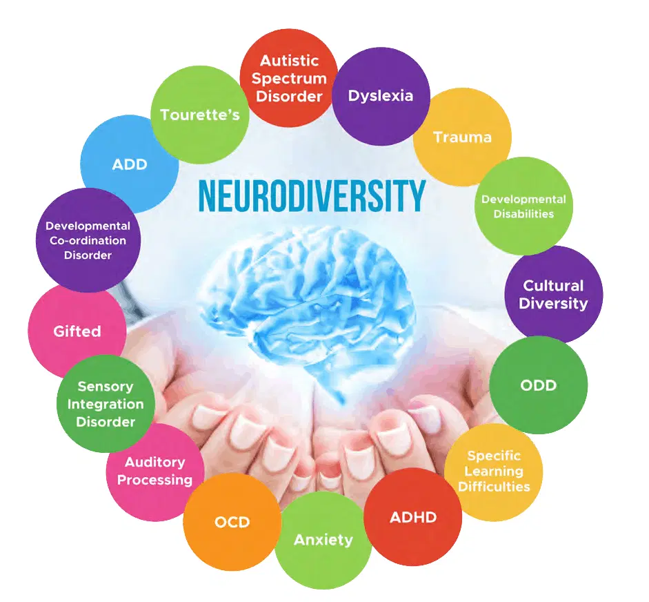 Coaching biznesowy Kraków-czym jest neurodiversity