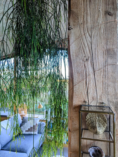 Northumberland biophilic plants bi-fold sliding doors rustic residential eco-friendly green cabin house remodelling renovatio