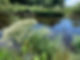 View of the River Earn
