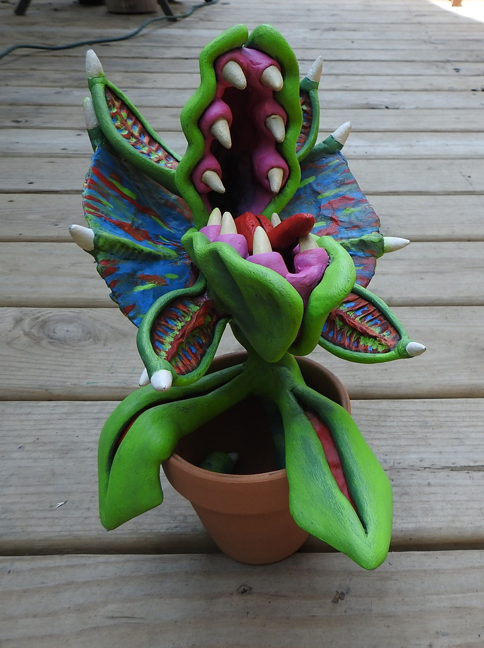 Thumbnail: Wilbur - The Spring Daisy