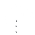 web logo 1.png