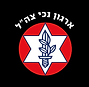 ארגון נכי צהל.png