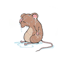 Mina Minou. A sory with Improvised music.Debisongs character a little mouse