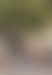 The message of the trees