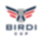 BIRDI Cup Logo (2).png