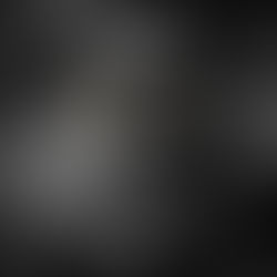 Un gatto con sguardo sicuro dei propri confini