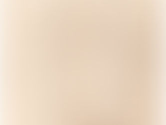 L'ACCORD DE THINES EN 1627