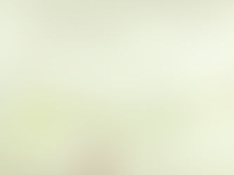 LE CABARET DE LA CROIX DE FER