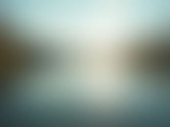 The Power of Mindfulness in Everyday Life