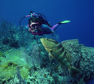 sailing charter, bahamas, cruising courses, Newport, chesapeake, padi, scuba, snorkeling