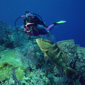 Some things you may want to think about Experiencing while visiting Cabo San Lucas, Mexico