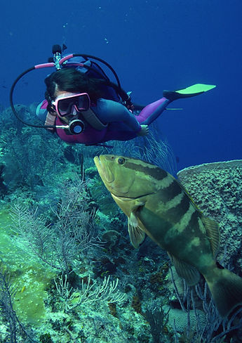 Diving with Fish