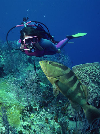 Diving with Fish