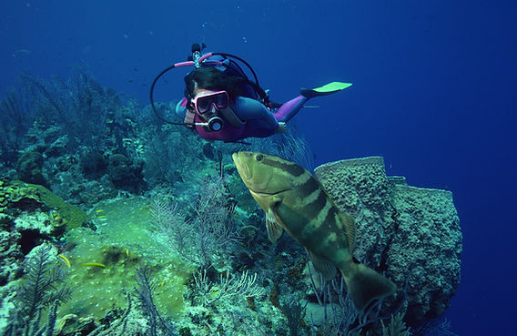 Scuba dver and fish