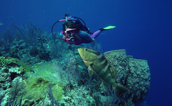 diver swimming over coral while conducting training