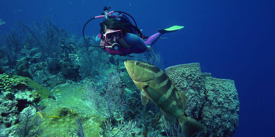 Scuba Diver Training in open water.