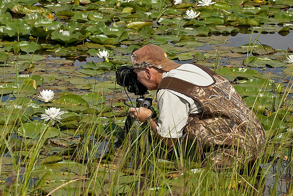 To “get the shot” John ends up in some interesting places, like wading in some lilypads. Contributed photo
