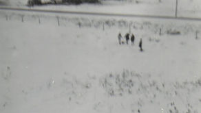 Boomer's Journal - Flying saucers