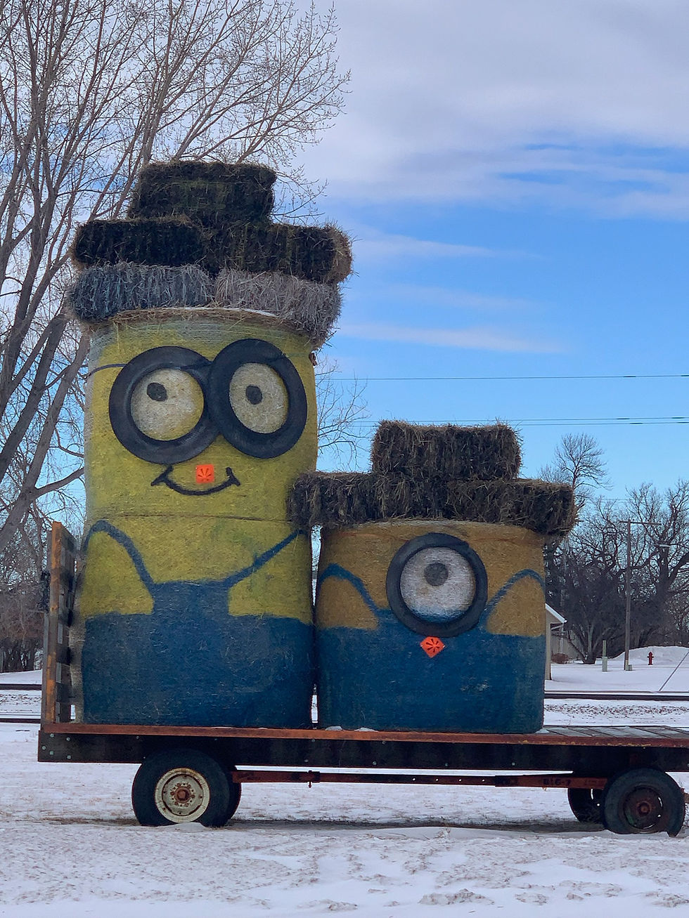 Minion hay bales greet the town of Donnelly, and it looks like they’re dressed up as snowmen, complete with an orange cone nose and hay bale hats. Sent in by Gail Kloos of Donnelly.

