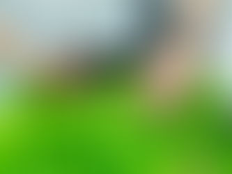 Ever think about growing herbs?