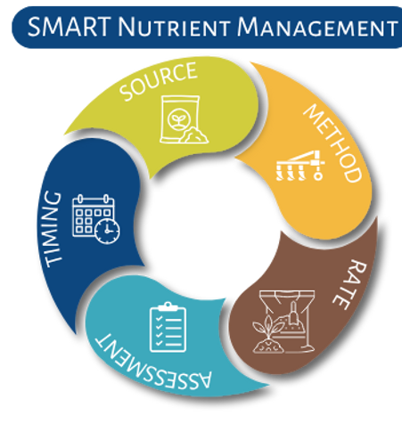 SMART graphic
