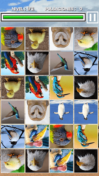 Memory Match Animals Jungle