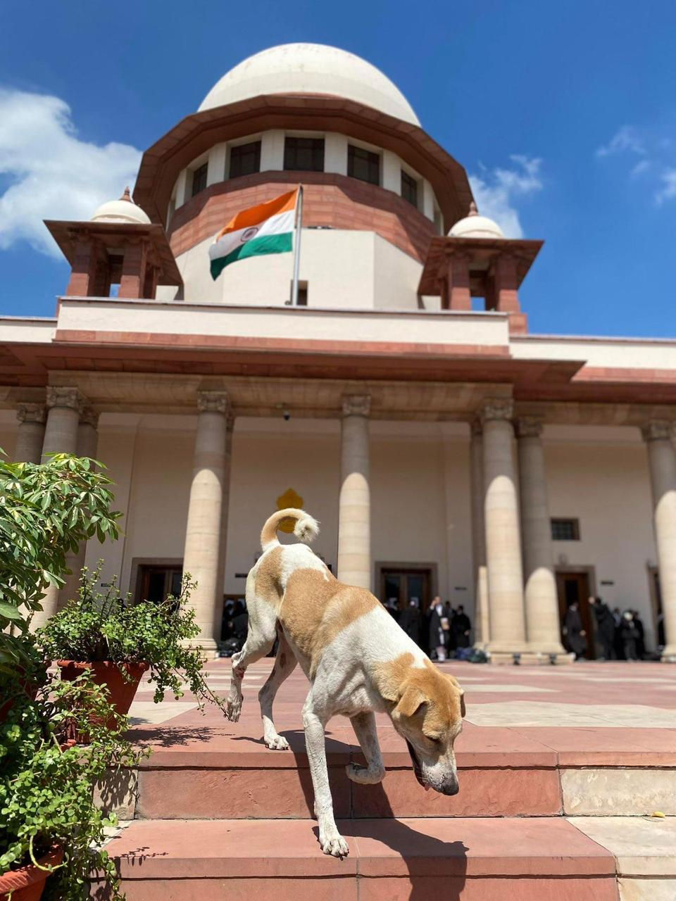 When the voiceless walk the steps of justice, will we listen?