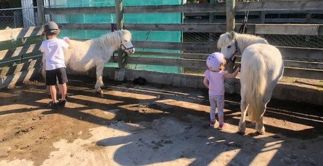 121290003_4476756845732488_2598811453473