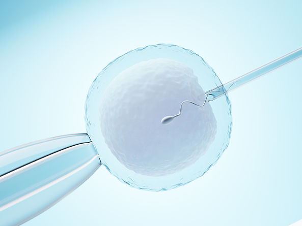 SANTOS IVF