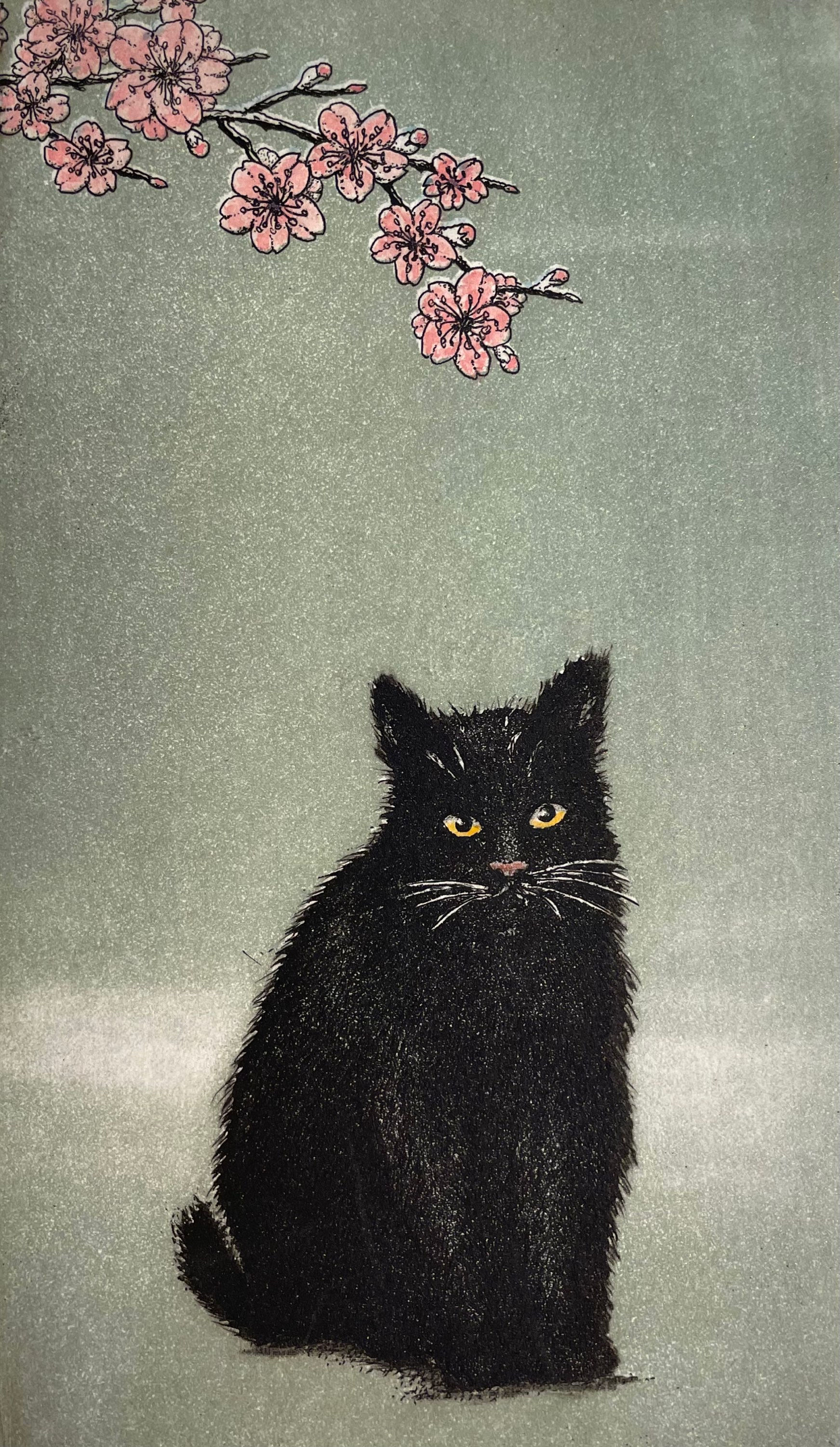 NORIKANE,Hiroto [Black cat - 15  (cherry blossom) `16] copperplate